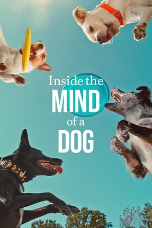 Inside the Mind of a Dog 2024 Hindi Dual Audio HDRip 1080p – 720p – 480p