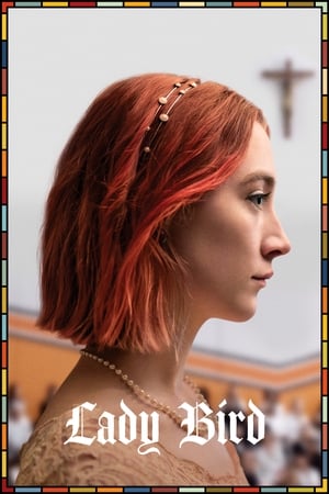 Lady Bird 2017 Hindi Dual Audio 480p BluRay 300MB